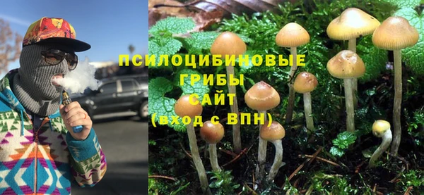 соль ск Абдулино