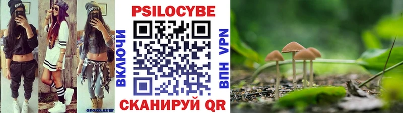 KRAKEN вход где можно купить наркотик Электросталь Галлюциногенные грибы мицелий