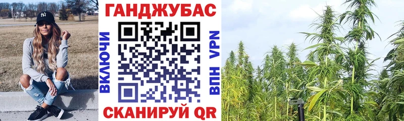 Шишки марихуана марихуана  Электросталь 